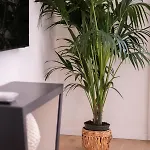 아파트 Residenza Villani In Oltrarno, 피렌체